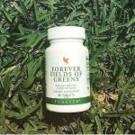 فوراور فیلدز آو گرینز (مکمل سبزیجات) | Forever Fields of Greens - Image 2