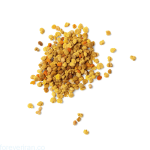 بی پولن (گرده زنبور عسل) | Bee Pollen - Image 3