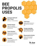 مکمل فوراور بی پروپولیس | Forever Bee Propolis - Image 3